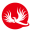 中国娱乐报网